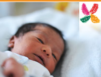 Neonatologia -subhome