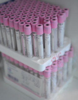 Day -Hospital -041